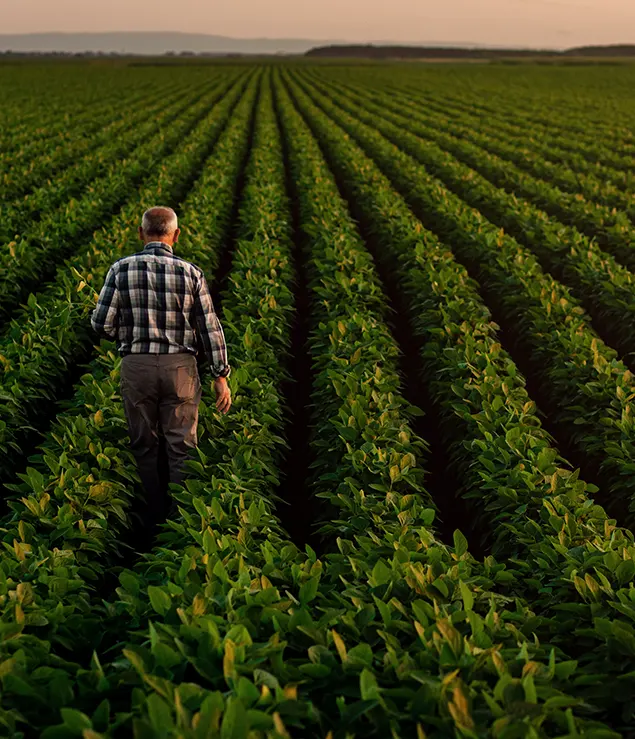 Investir dans un terrain agricole